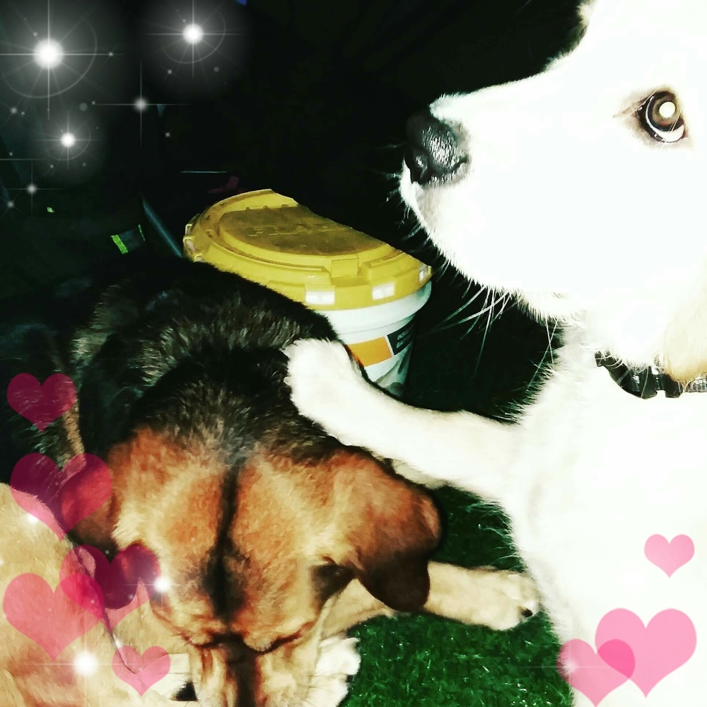 Meet your Posher, Trina